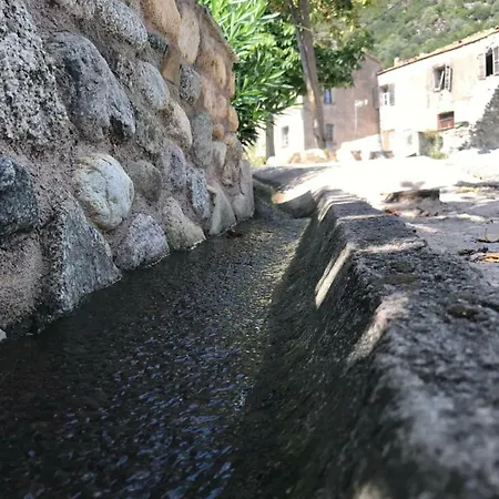 Ponte Porte De La Scala